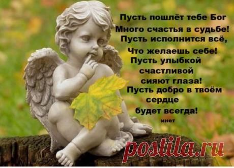 Яндекс.Картинки: поиск похожих картинок