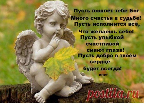 Яндекс.Картинки: поиск похожих картинок