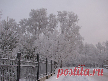 ФОТОМАСТЕРСКАЯ ПРИРОДЫ
Елена Лисина(Ющук)