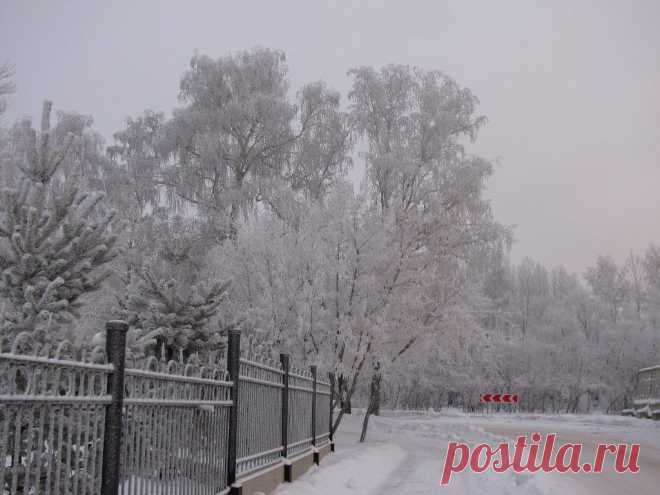 ФОТОМАСТЕРСКАЯ ПРИРОДЫ
Елена Лисина(Ющук)