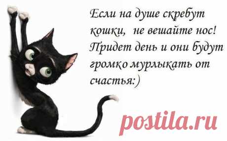 Записки Мадемуазельки. Дневник