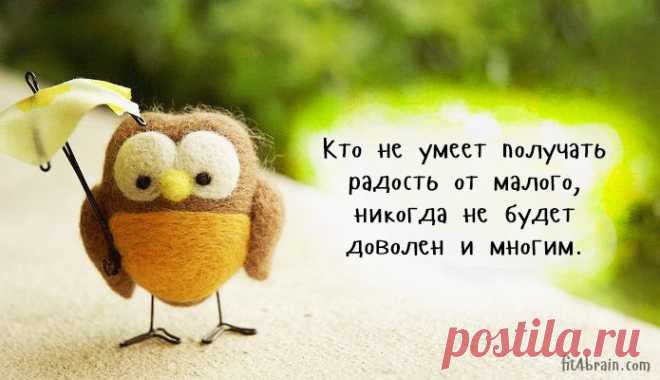 Одной фразой – Фитнес для мозга