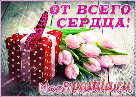 Открытка тюльпаны моей любимке