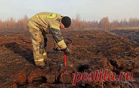 В МЧС сообщили, что причиной возгорания торфяников в Екатеринбурге мог стать поджог. Ведомство проводит пожарно-техническую экспертизу передает ТАСС. «На данный момент рассматриваются две версии – это неосторожное обращение с огнем либо умышленное воздействие на торфяники с целью их последующего поджигания», – рассказали в МЧС. По результатам экспертизы будут сделаны выводы. Пожар на землях лесного фонда в районе Камышловского тракта начался в субботу, 14 июня. Площадь горения в понедельник не…