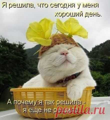 Мой Мир@Mail.Ru