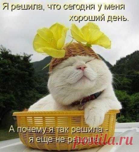 Мой Мир@Mail.Ru