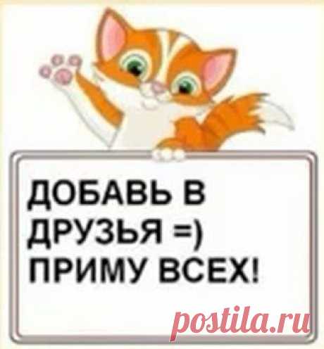 Тусовка для тех, кому за 50 В Кругу Друзей — социальная сеть
