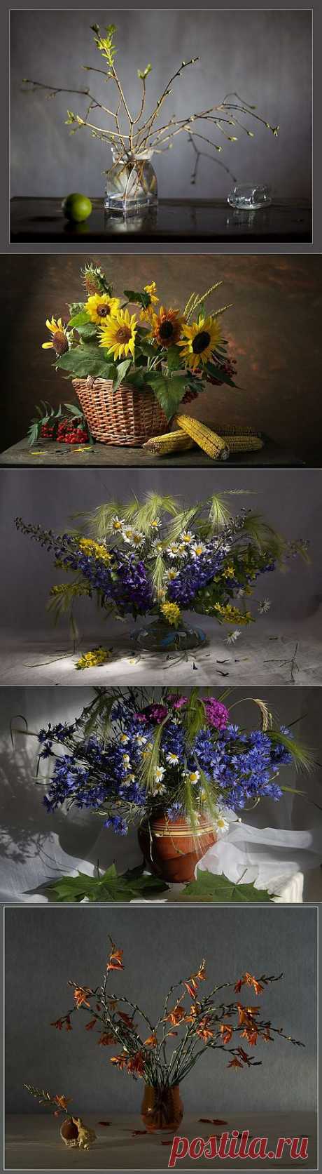 140 Still Lifes Art Photos by Igor Kolosov (144 фото) &amp;raquo; Картины, художники, фотографы на Nevsepic