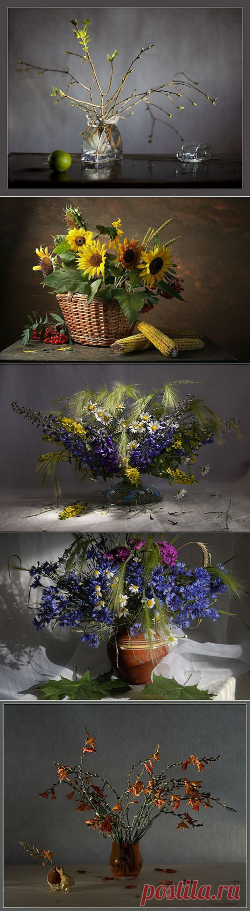 140 Still Lifes Art Photos by Igor Kolosov (144 фото) &raquo; Картины, художники, фотографы на Nevsepic