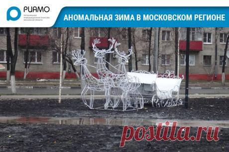В Подмосковье - Аномально теплый декабрь сбил с толку не только...