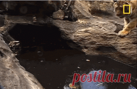 Популярное – Google+