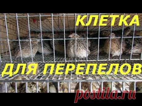 Как сделать клетку для перепелов своими руками. Видео.