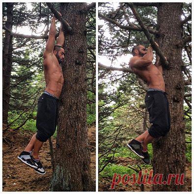Тренировка подтягиваний на выносливос / Спорт Сильных!