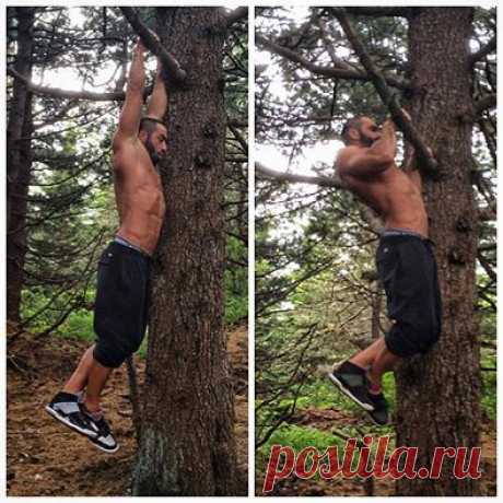 Тренировка подтягиваний на выносливос / Спорт Сильных!