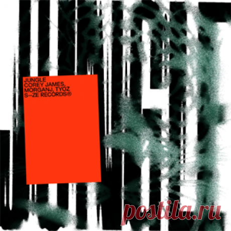 Corey James, MORGANJ, Tyoz - Jungle (Extended Mix) | 4DJsonline.com