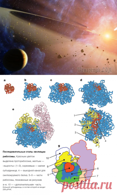История происхождения жизни на Земле и химической эволюции в девяти главах