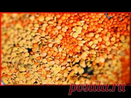 Выменял у Грека Дорогой рецепт, которому 3500 ЛЕТ!!! Отдаю задаром! Легендарный Вкус! ВИДЕО🎬 | WEBSPOON.ru — рецепты кулинарии | Яндекс Дзен