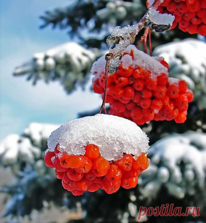 2297552.jpg (768×833)