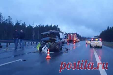 Появилось видео с места аварии в Ленобласти с выпавшим из машины телом. В сети появилось видео с места аварии, произошедшей на 24-м километре трассы А-21 «Сортавала» в Ленинградской области. Во время ДТП из багажника врезавшегося в отбойник автомобиля выпало тело человека с перерезанным горлом. По последним данным, подозреваемых в убийстве удалось задержать.