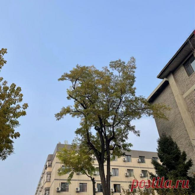 Cómo hacer un molde para una olla de aluminio invertida_Baidu Knows