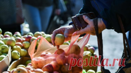 В ЯНАО начался грантовый конкурс на развитие малых форм хозяйствования. В Департаменте агропромышленного комплекса Ямало-Ненецкого автономного округа рассказали о начале грантового конкурса на развитие малых форм хозяйствования. Читать далее