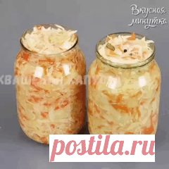 Фотография в альбоме «Гифы»