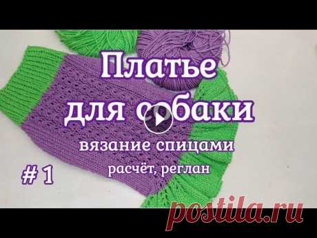 Платье для собаки спицами, Часть 1, расчет, реглан Платье для собак спицами. Часть 1, в которой мы рассмотрим какие мерки нужны для расчета и свяжем реглан. Платье связано из пряжи в которой 50/50 хлоп...