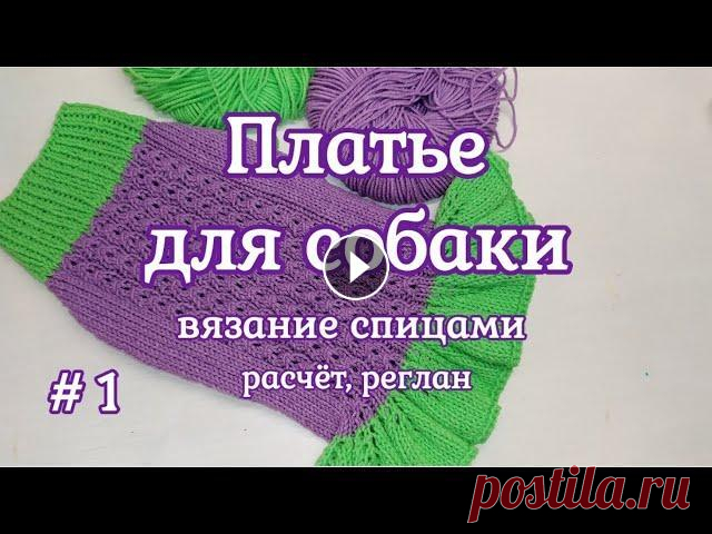 Платье для собаки спицами, Часть 1, расчет, реглан Платье для собак спицами. Часть 1, в которой мы рассмотрим какие мерки нужны для расчета и свяжем реглан. Платье связано из пряжи в которой 50/50 хлоп...
