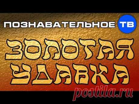Золотая удавка (Познавательное ТВ, Валентин Катасонов) - YouTube