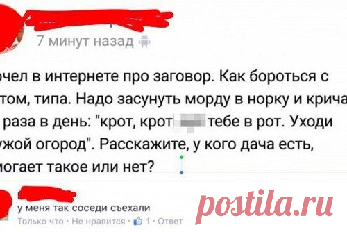 Прикольные комментарии из социальных сетей