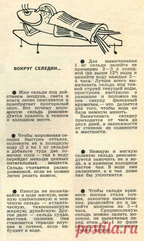 Вокруг селедки (советы)