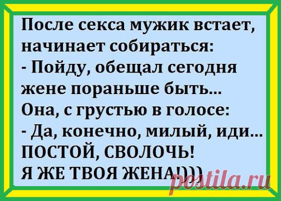 Поймал Золотую рыбку. Она меня очень внимательно выслушала... 
Приезжает известная рок-группа в Украину. У трапа самолета их встречает дивчина в национальном костюме, в венке с ленточками, румяненькая. В руках держит хлеб и соль. Из самолета выходит лидер группы…