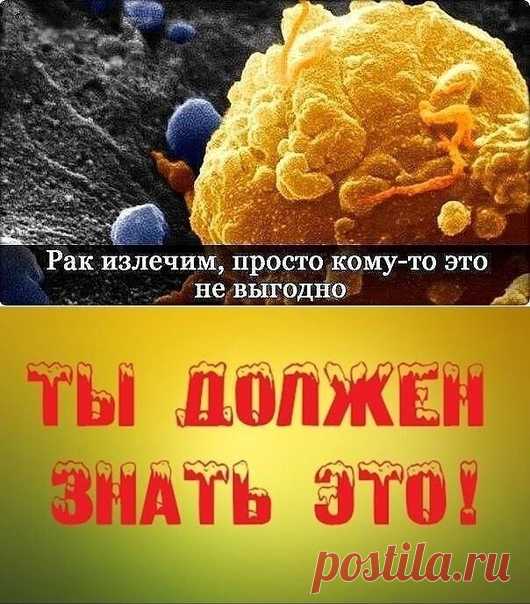 РАК – ЭТО ГРИБКОВОЕ ЗАБОЛЕВАНИЕ… И ОНО ИЗЛЕЧИМО

Рак – излечимая грибковая инфекция. Очень похоже на то, что медицинская мафия использует слово «рак», как обманку для последующего массового убийства людей с помощью радио- и химиотерапии. Процедуры эти очень дорогие, но работают хорошо – убивают абсолютно всех.

Предлагаем вашему вниманию перевод статьи Дэвида Айка, оригинал которой на английском языке вы можете легко найти в интернете.

Цифры, конечно, впечатляющие. Восемь...