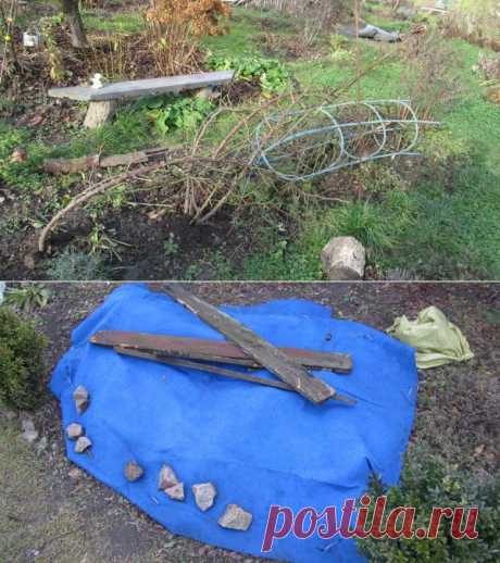 Как подготовить кусты роз к зиме — 6 соток