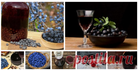 Настойки и ликёры из тёрна