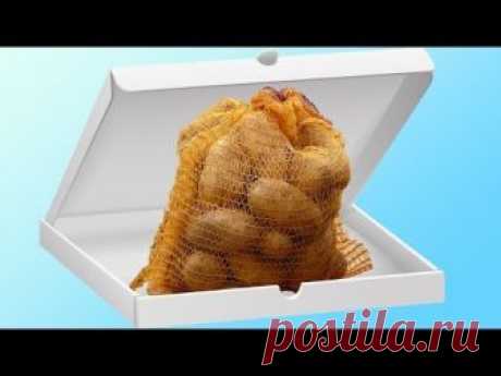 КАРТОФЕНО РУЛО СЪС ШПЕК САЛАМ