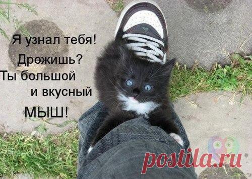 czV1zEx4atg.jpg (500×356)