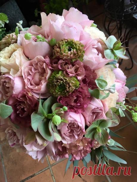 флористика