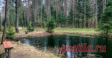 За заброшенные загородные участки с 1 сентября 2025 года россиянам грозит штраф до 50 тысяч рублей. О наказании владельцев дач предупредил депутат Госдумы Александр Якубовский, пишет RT.