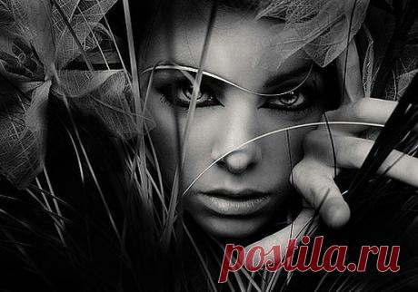 (+1) тема - Тайны взгляда! | НАУКА И ЖИЗНЬ