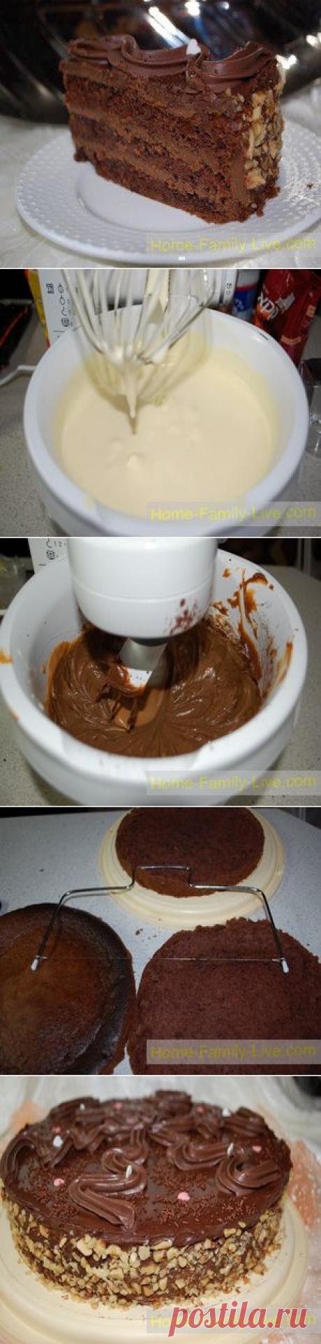 Торт шоколадный - Кулинарные рецепты