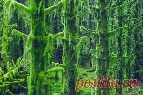 9091433190_73dcd6602c_z.jpg (изображение «JPEG», 640 × 427 пикселов)