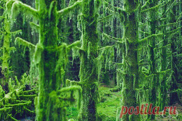 9091433190_73dcd6602c_z.jpg (изображение «JPEG», 640 × 427 пикселов)