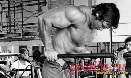 Грудь Арнольда. Рецепт создания | bestbodyblog.com
