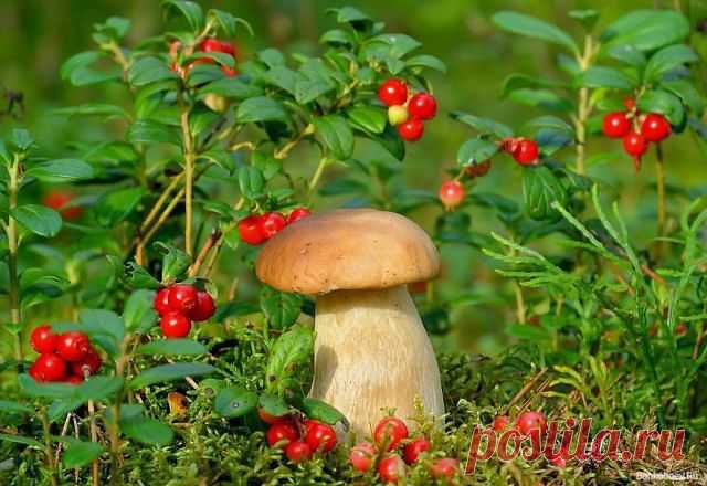 getImage (640×440)