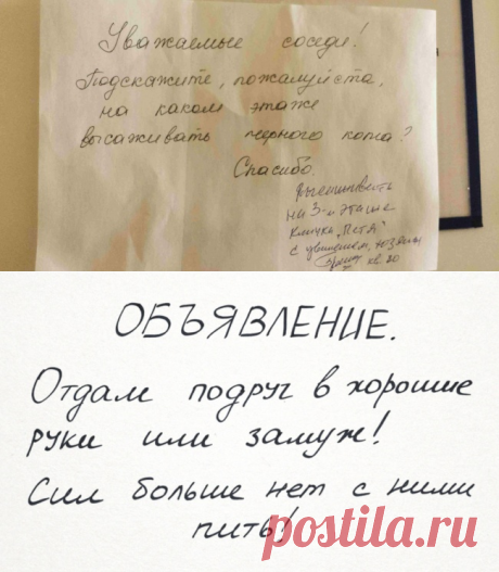 15 записок от соседей с блестящим чувством юмора