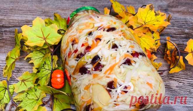 Не представляю осень без любимой капусты 
