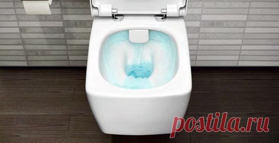 Осторожно: безободковые унитазы