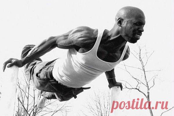 Программа тренировок гениального Ганибала — Полезные советы