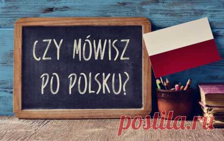 Czy mowisz po polsku? 10 Youtube-каналов, которые помогут выучить польский язык. Выбор редакции | Новое Время